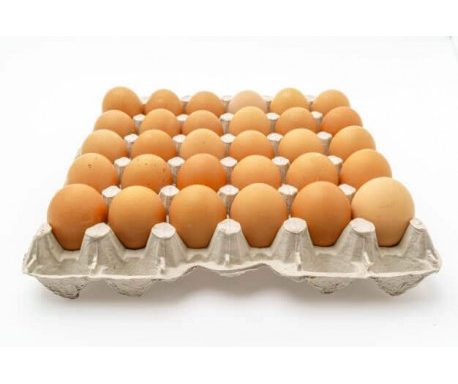 Huevos del día (30 Uds.)